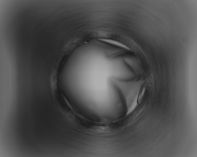 X0000101100552200807101449