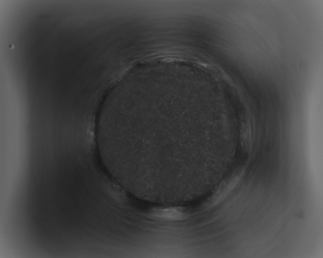 X0000101100553200807101449