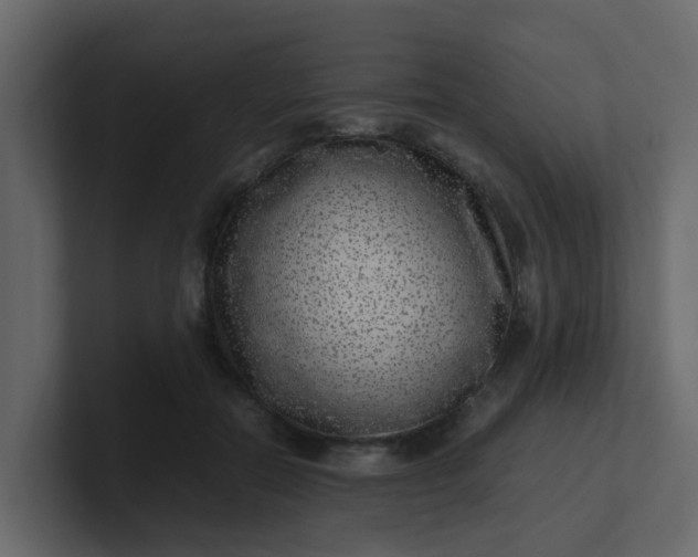 X0000101100554200807101449