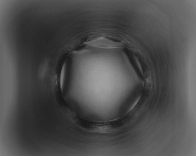 X0000101100555200807101449