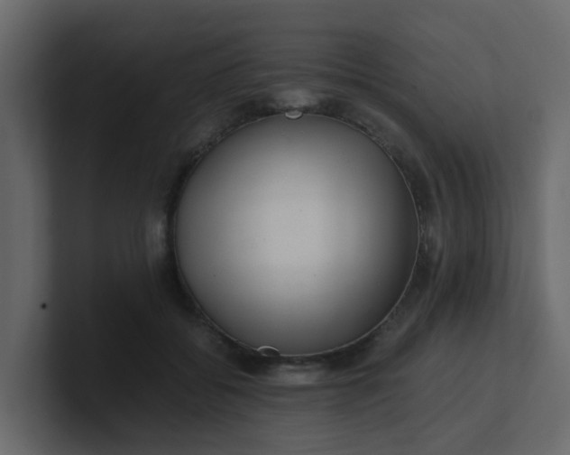 X0000101100556200807101449