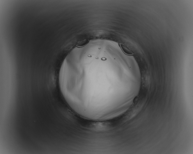 X0000101100558200807101450