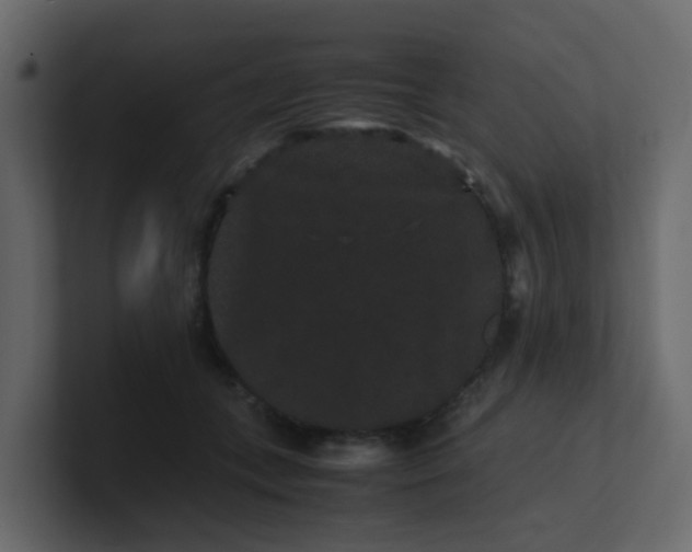 X0000101100559200807101450