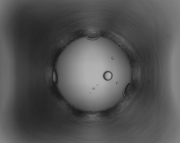 X0000101100560200807101450