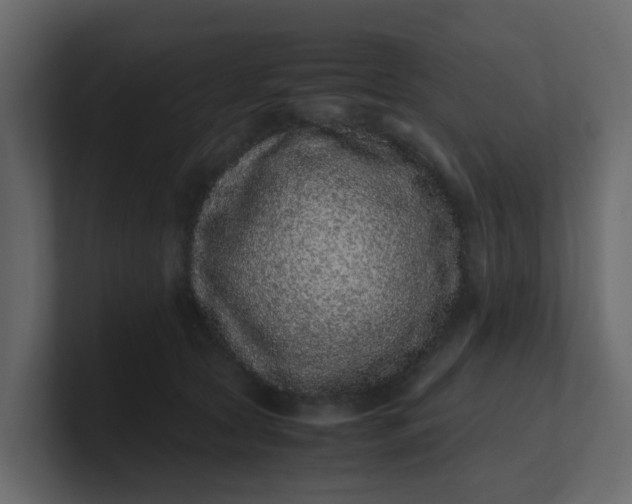 X0000101100561200807101450