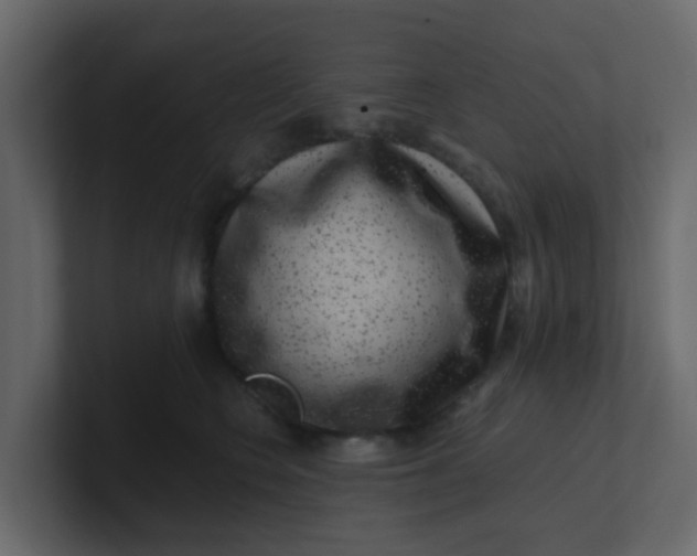 X0000101100566200807101450