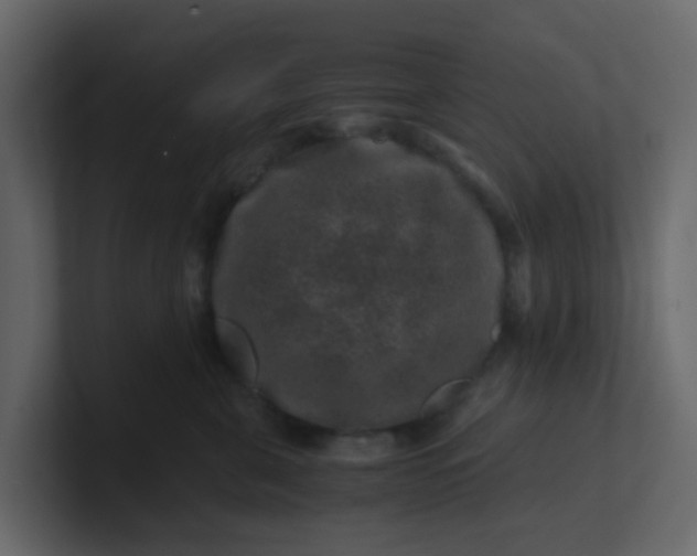 X0000101100571200807101450