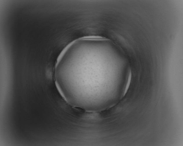 X0000101100576200807101450