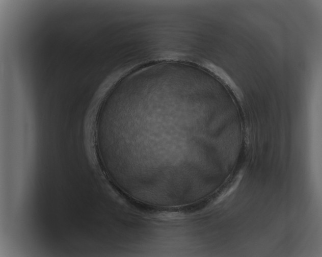X0000101100577200807101449