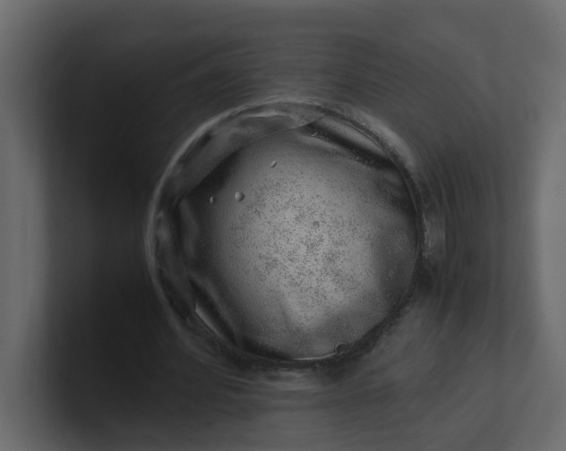 X0000101100580200807101449