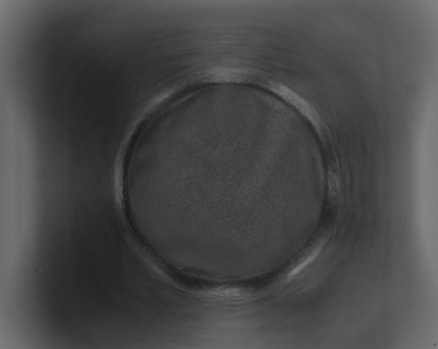 X0000101100581200807101449
