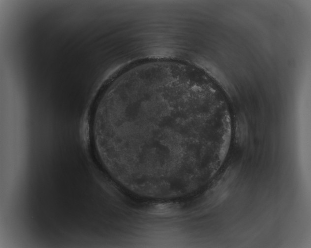 X0000101100584200807101449