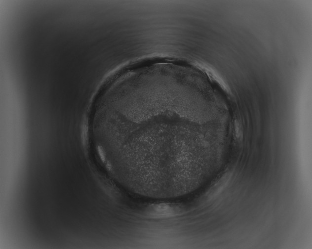 X0000101100588200807101449