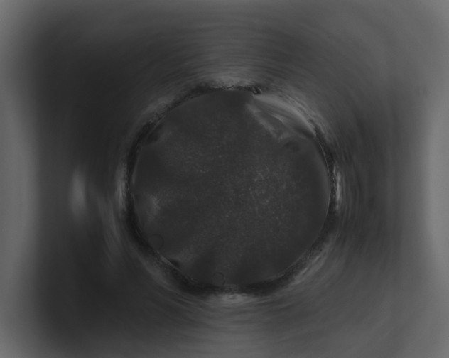X0000101100590200807101449