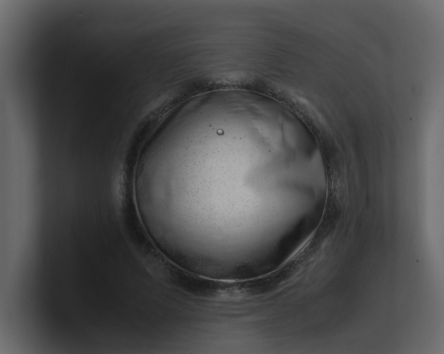X0000101100591200807101449