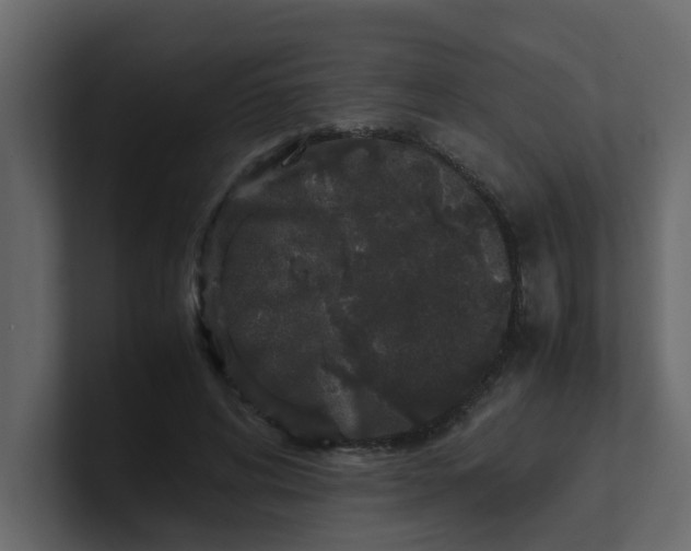 X0000101100592200807101449