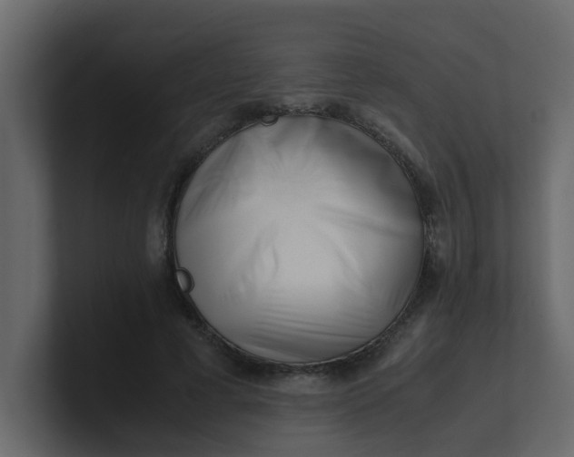 X0000101100593200807101449