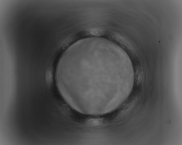 X0000101100595200807101449