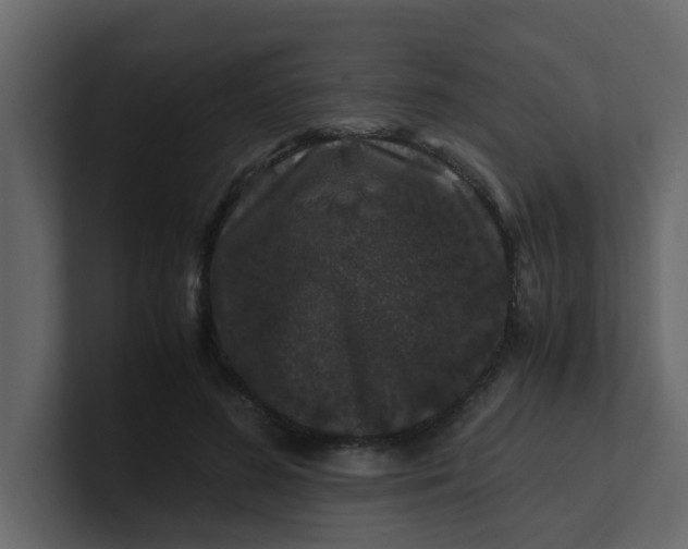 X0000101100596200807101449