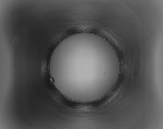 X0000101100597200807101449