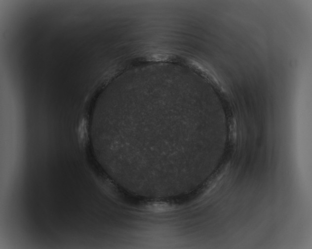 X0000101100598200807101449
