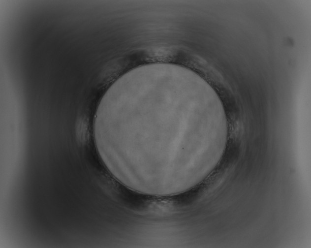X0000101100599200807101449
