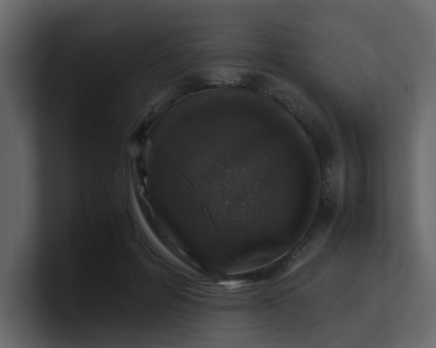 X0000101100600200807101449