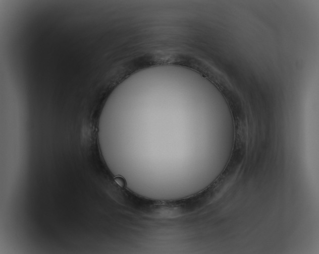 X0000101100601200807101449