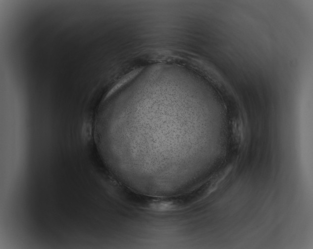 X0000101100602200807101449