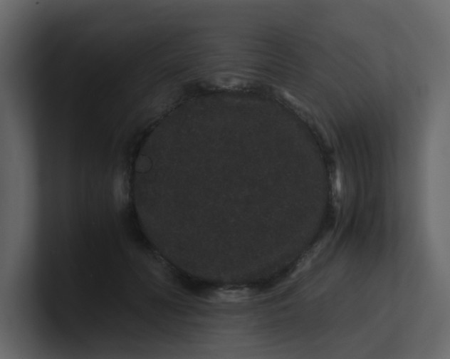 X0000101100606200807101449