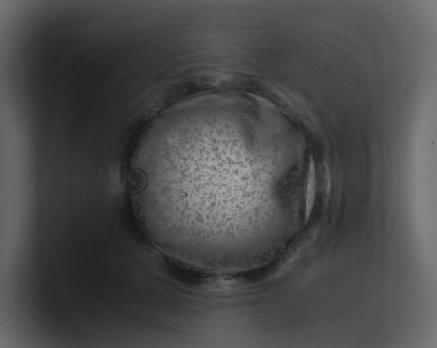 X0000101100607200807101449