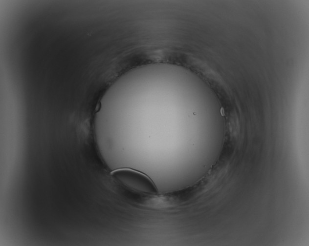 X0000101100611200807101449