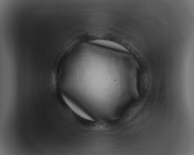 X0000101100612200807101449
