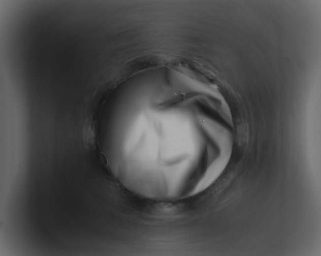 X0000101100613200807101449