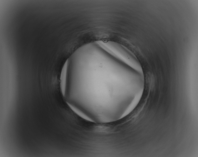 X0000101100614200807101449