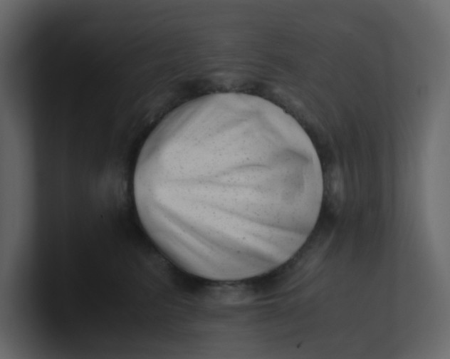 X0000101100615200807101449