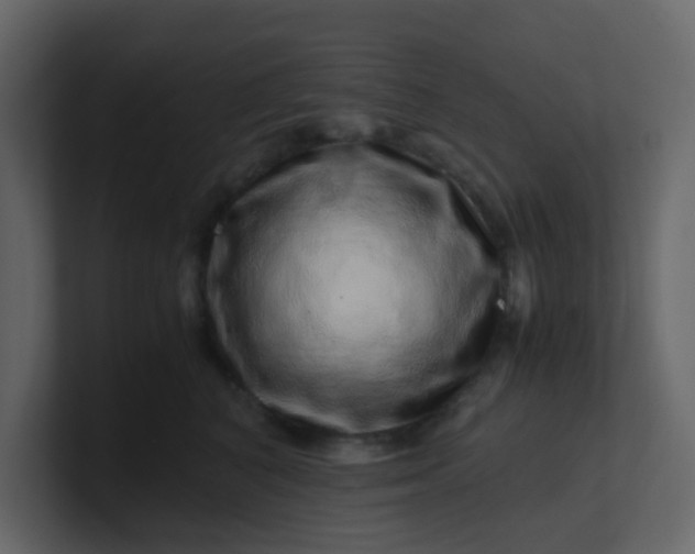 X0000101100616200807101449