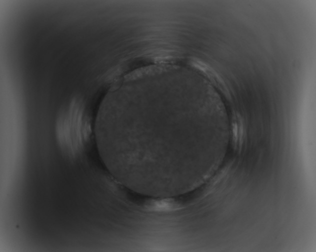 X0000101100618200807101449
