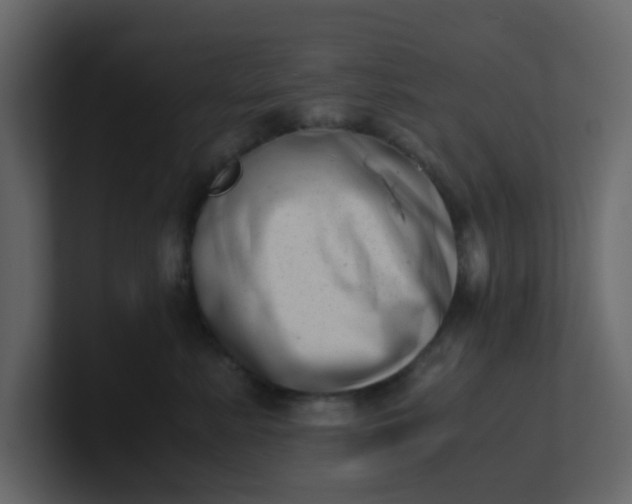 X0000101100619200807101449