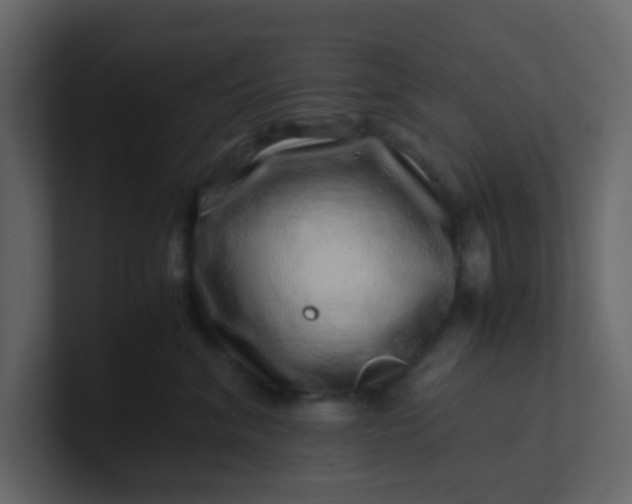 X0000101100620200807101449