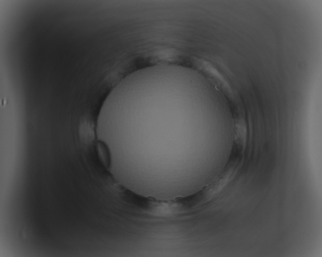 X0000101100621200807101449