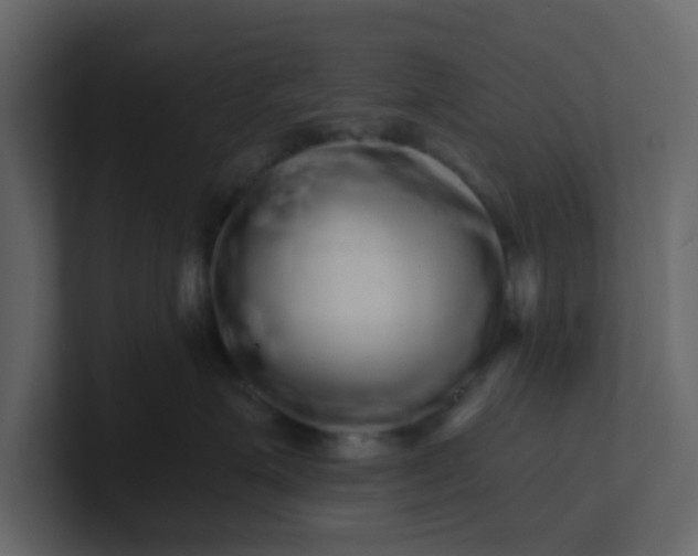 X0000101100623200807101448