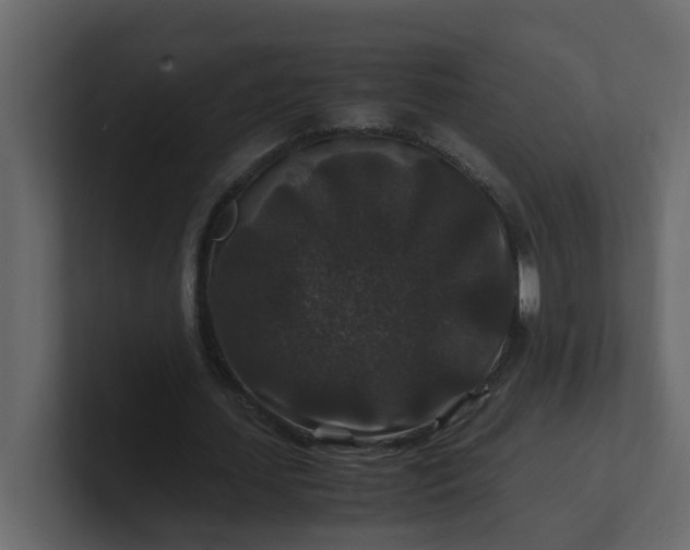 X0000101100627200807101448