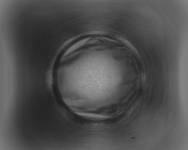 X0000101100628200807101448