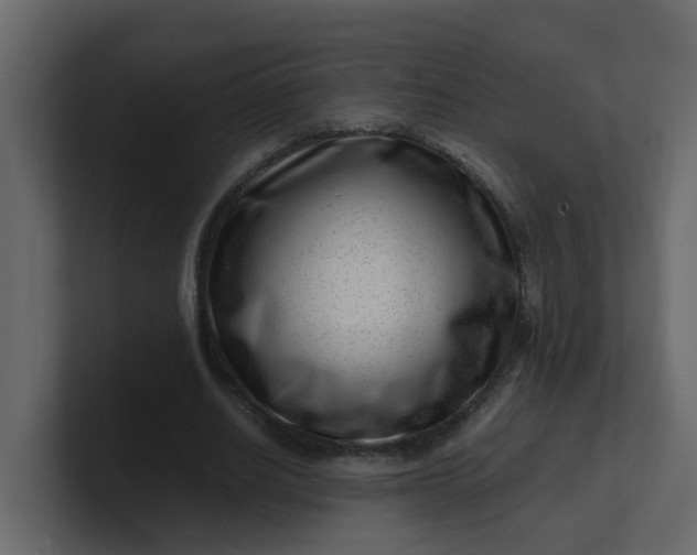 X0000101100630200807101448