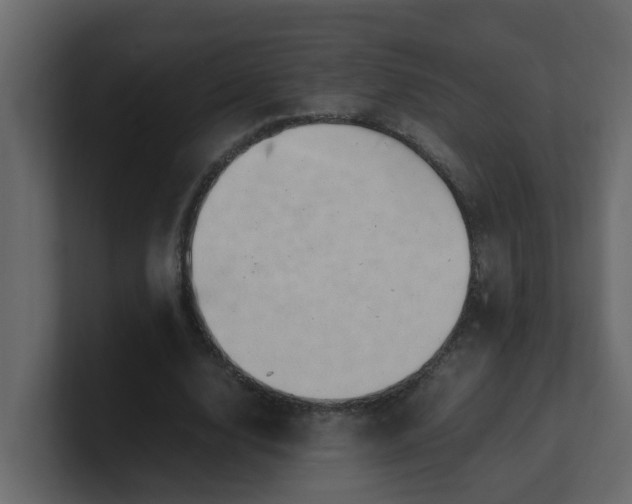 X0000101100632200807101448