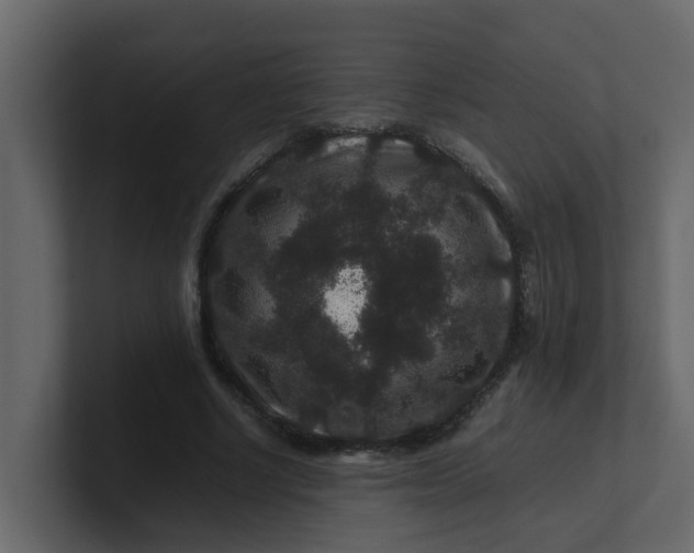 X0000101100634200807101448