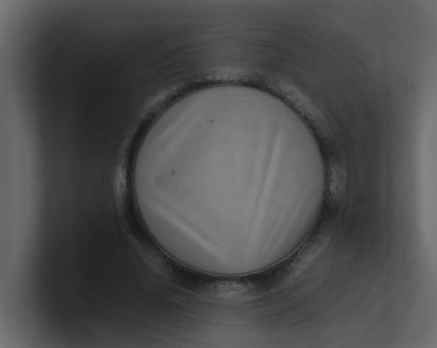 X0000101100636200807101448