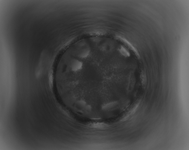 X0000101100637200807101448