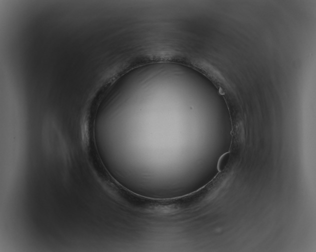 X0000101100638200807101448